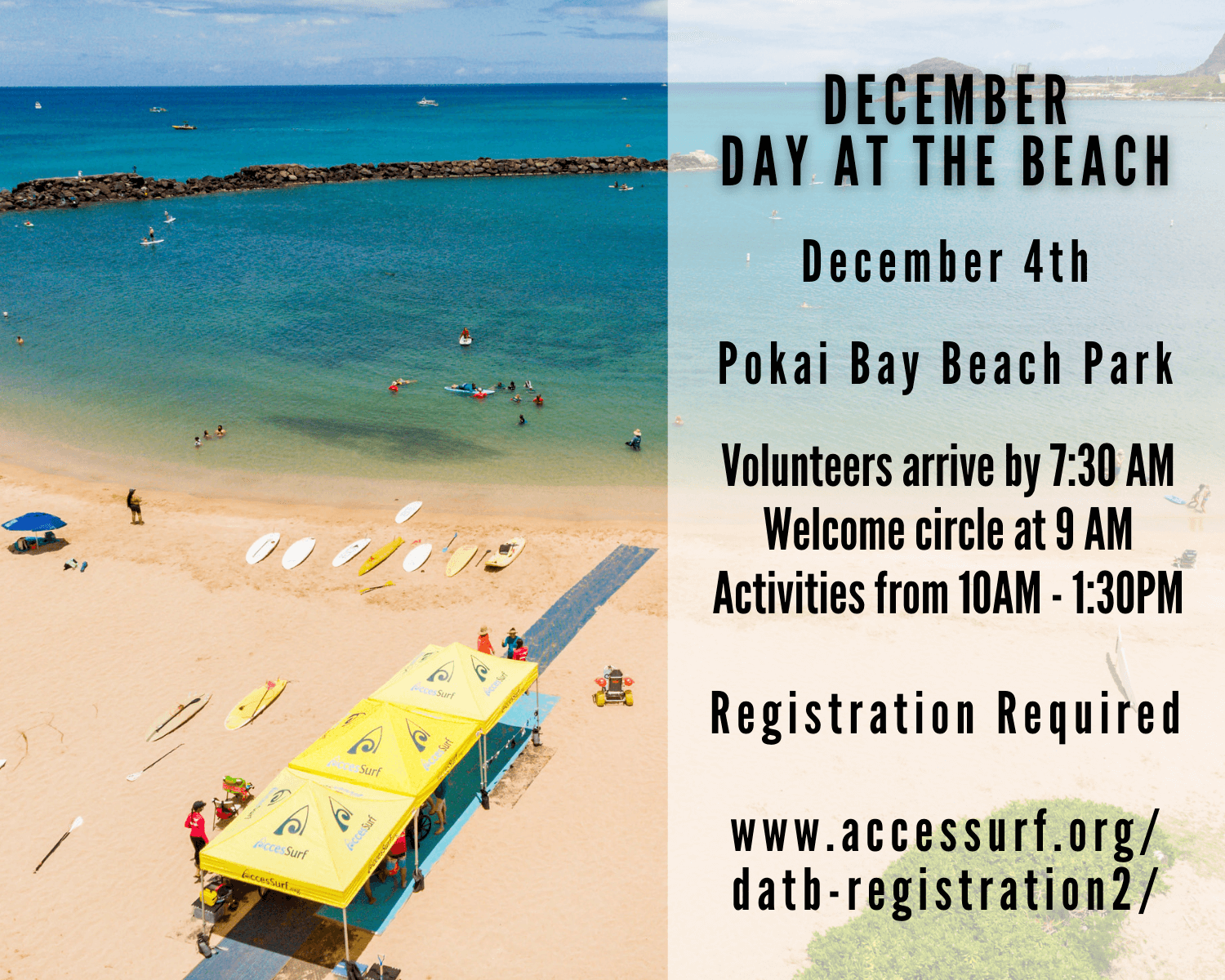 Day at the Beach Flyer